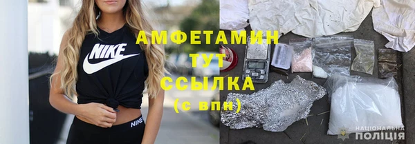 индика Волоколамск
